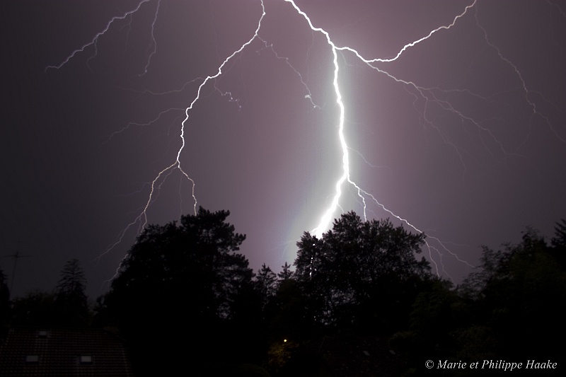 Eclair 8798_wm.jpg - Eclairs lors d'un soir de violent orage (Ermitage, Genève, Suisse, août 2007)